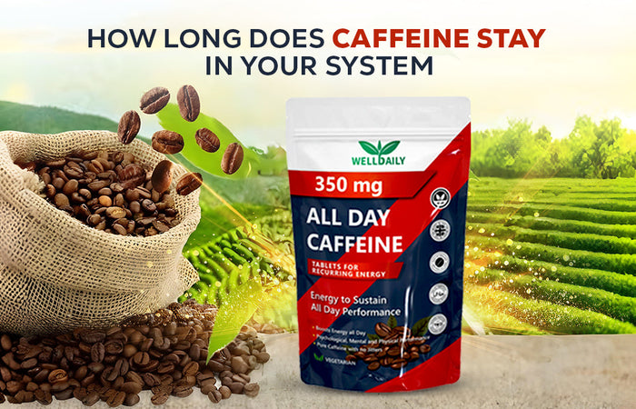How Long Does Caffeine Stay In Your System