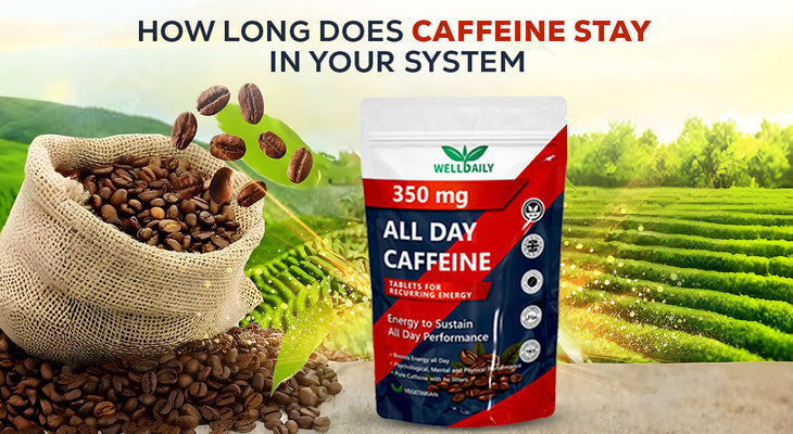 How Long Does Caffeine Stay In Your System
